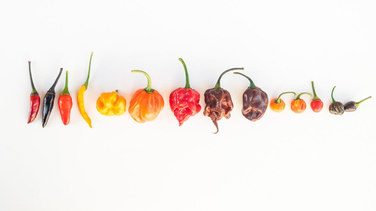 Complex heat: why ‘nuanced’ spice is the next big thing for food