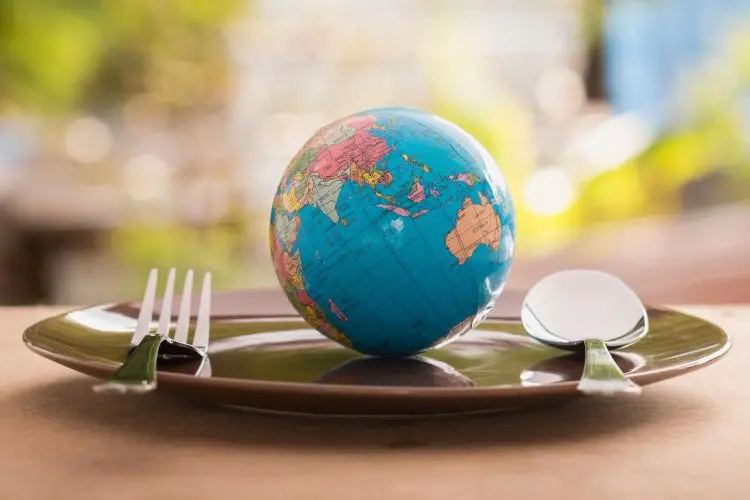 world food