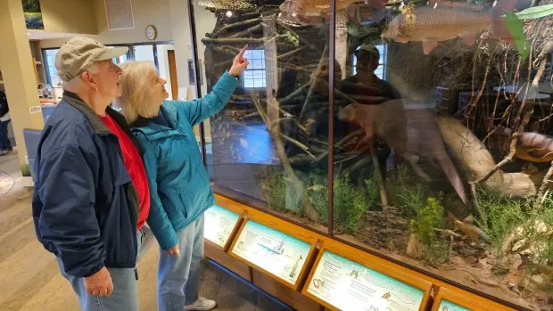 Elaine Patanella of Elburn and her husband Justin examine a display at the Creek Bend Nature Center in St. Charles Saturday before the start of a program about animal rescue and rehabilitation.