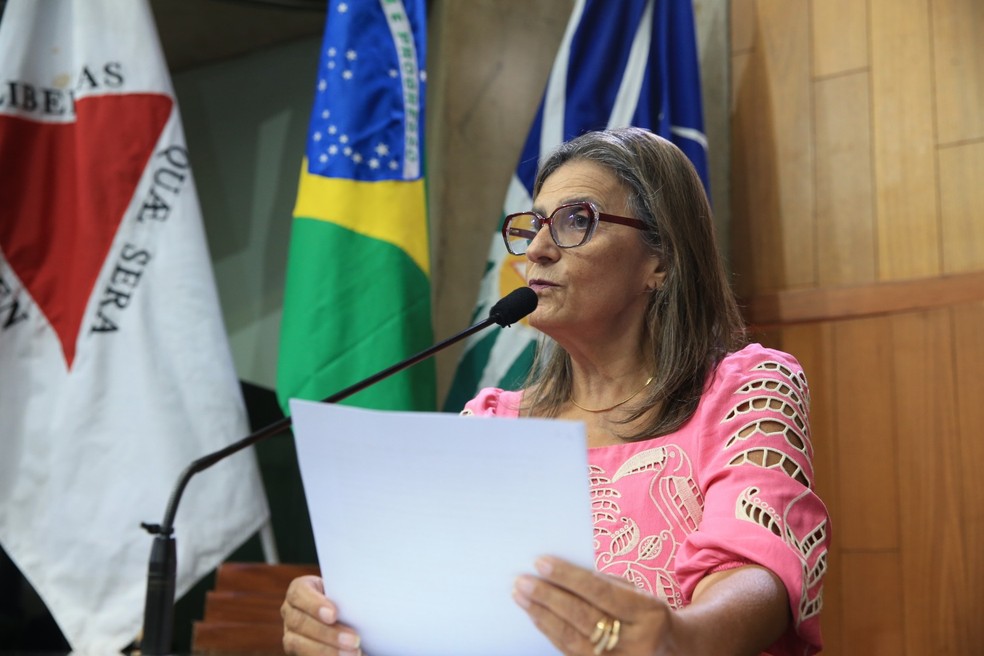 Secretária de Cultura, Mônica Debs, paga do próprio bolso parte da estrutura do Carnaval de Uberlândia