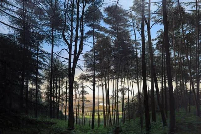 Dawn in Torlum Wood, by Philip Braham