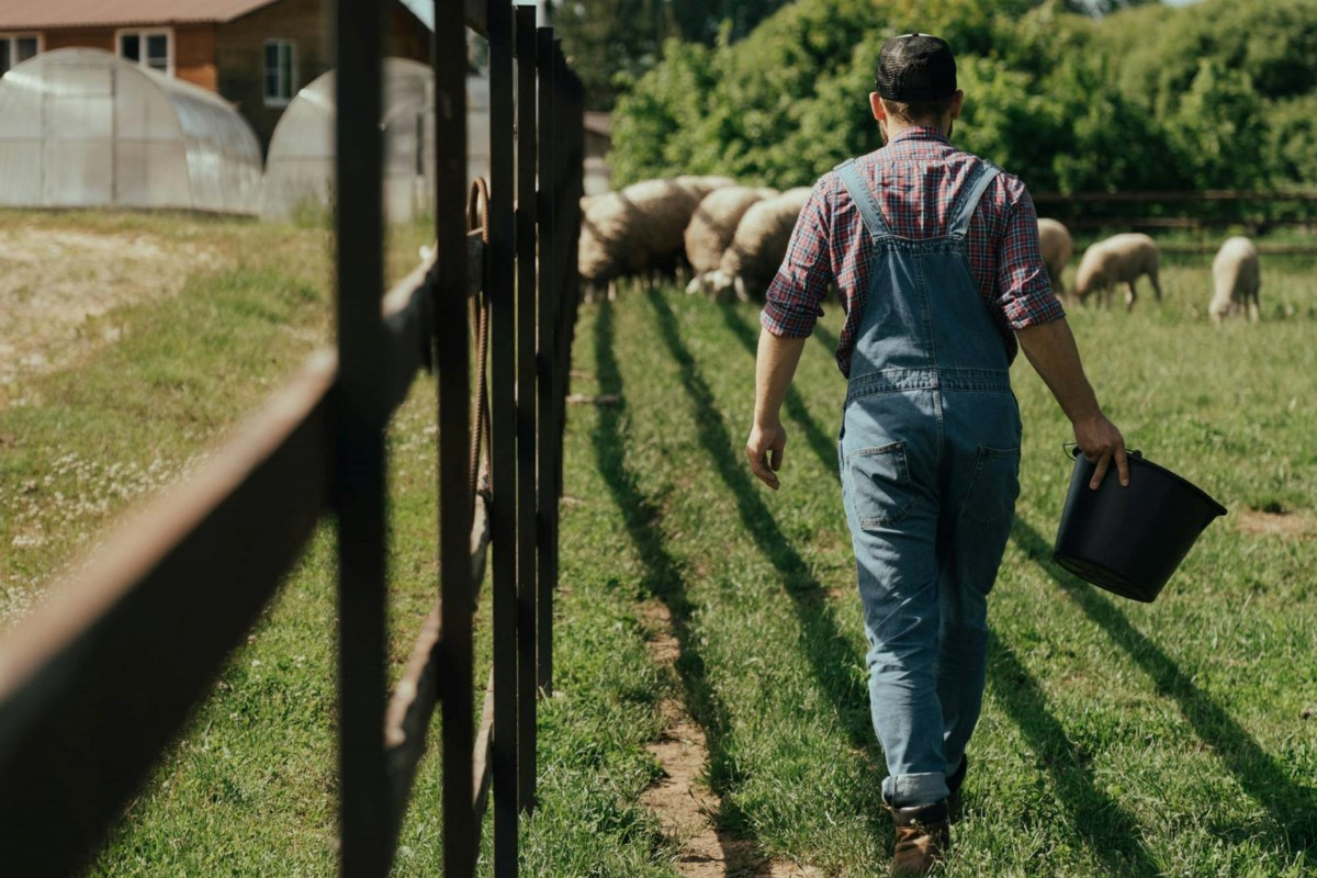 Addressing mental health in agriculture: ‘It’s OK to not be OK’