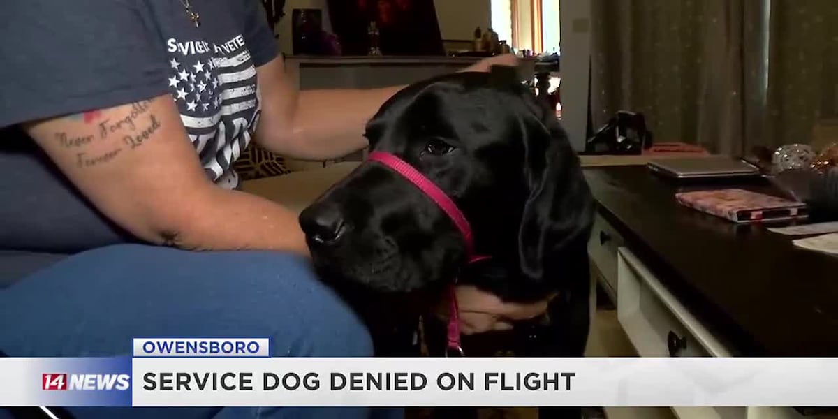 Owensboro woman struggles to travel with service dog