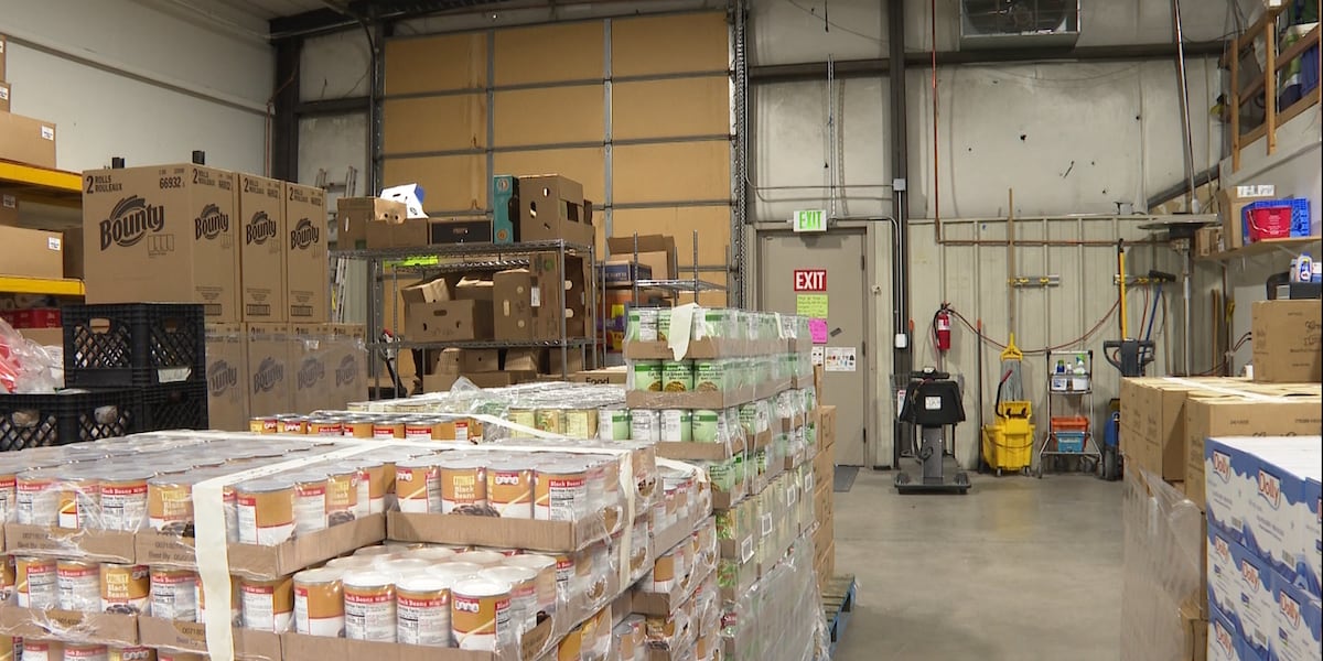 Food Bank Needs in Mesa County