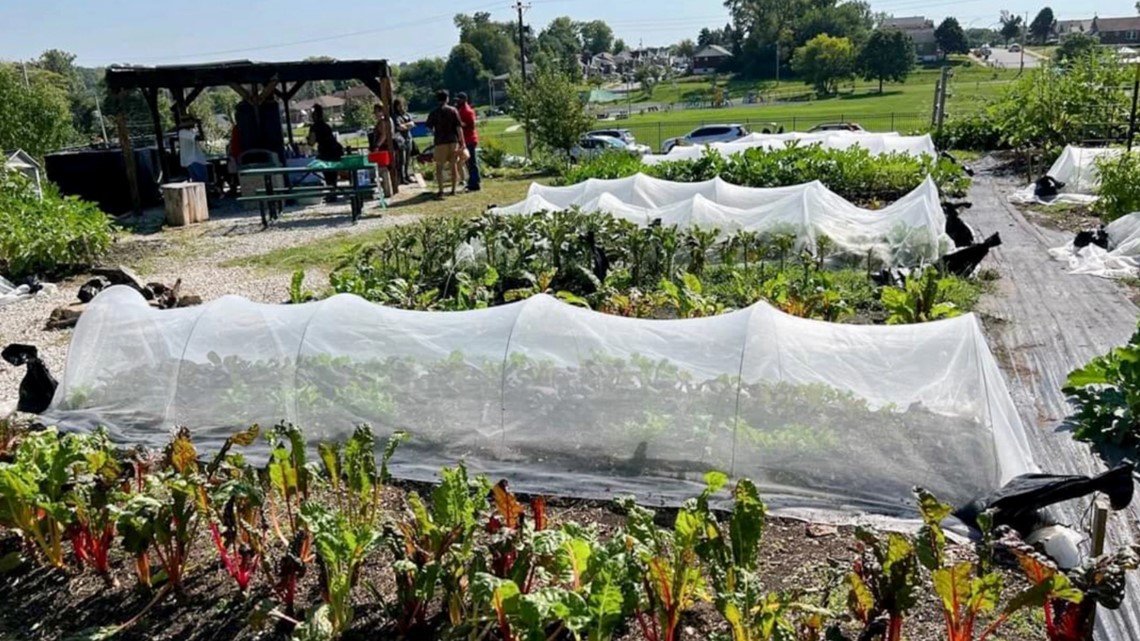 Urban Farmers, Food City seek to drain ‘food swamps’