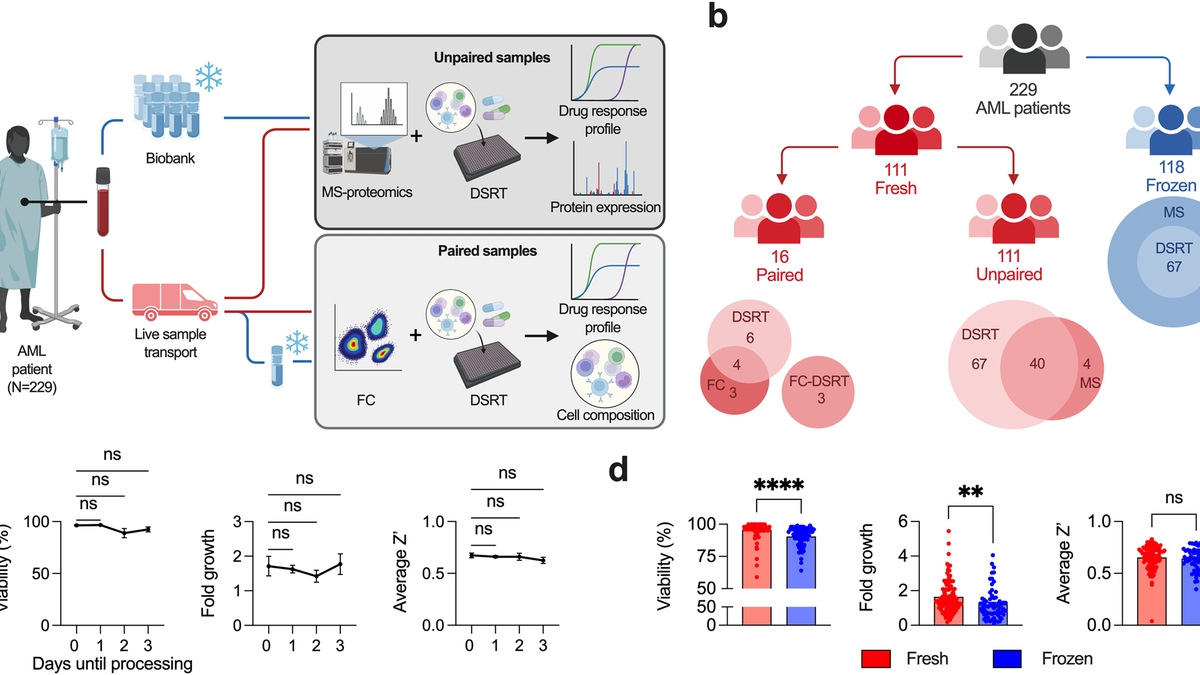 Understanding the Impact of Cryopreservation on Cell Fitness and Composition in Leukemia: Implications for Drug Testing and Treatment