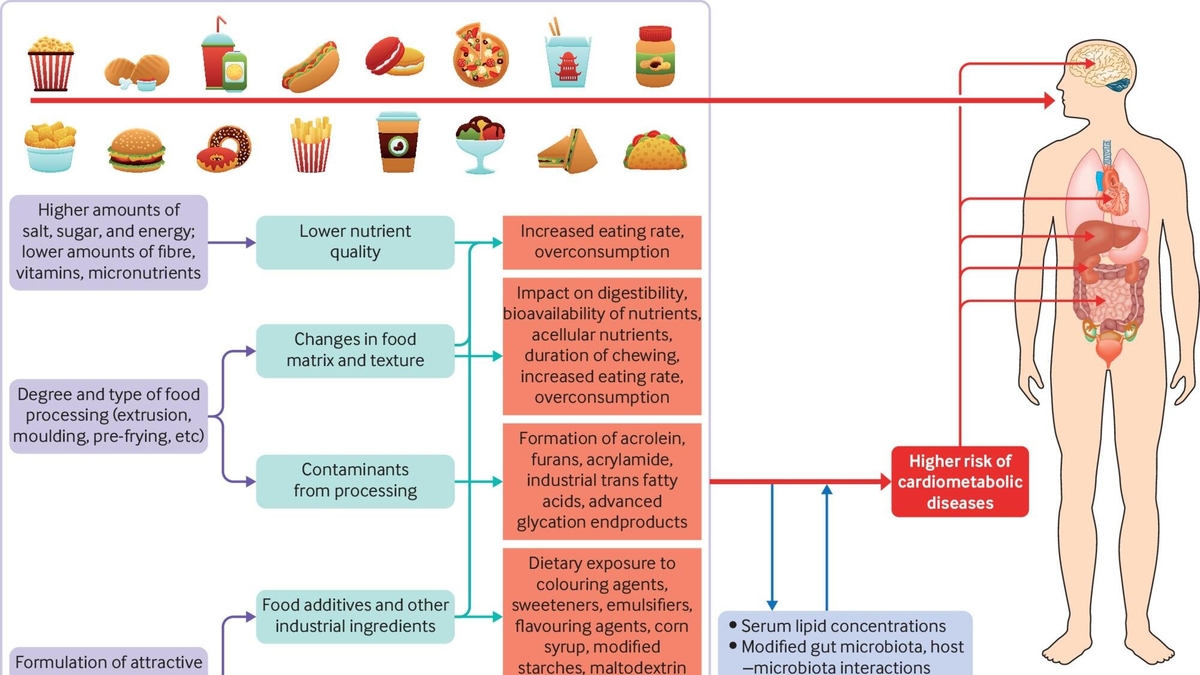 Understanding the Health Risks of Ultra-Processed Foods