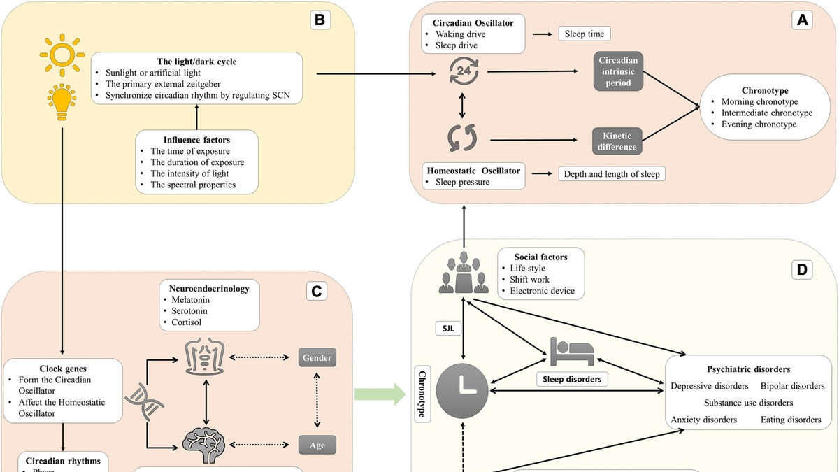 The Crucial Connection between Sleep, Circadian Rhythms, and Psychiatric Disorders: New Insights and Holistic Approaches