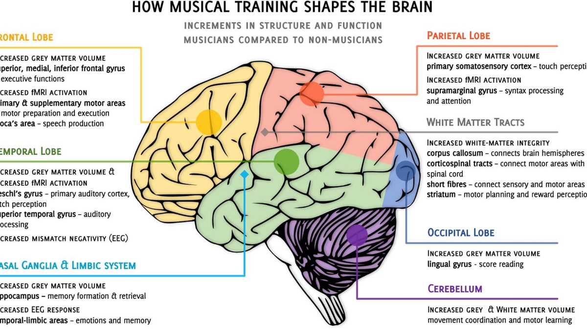 The Intriguing Connection Between Electronic Music, Brain Function, and Stress Reduction