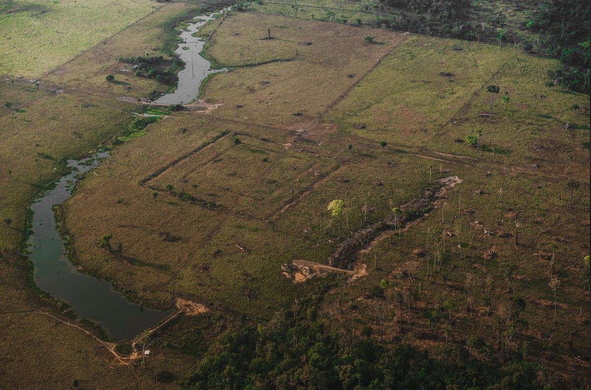 Gravuras rupestres, catamarã, cerâmicas: conheça a história guardada pelos rios na Amazônia