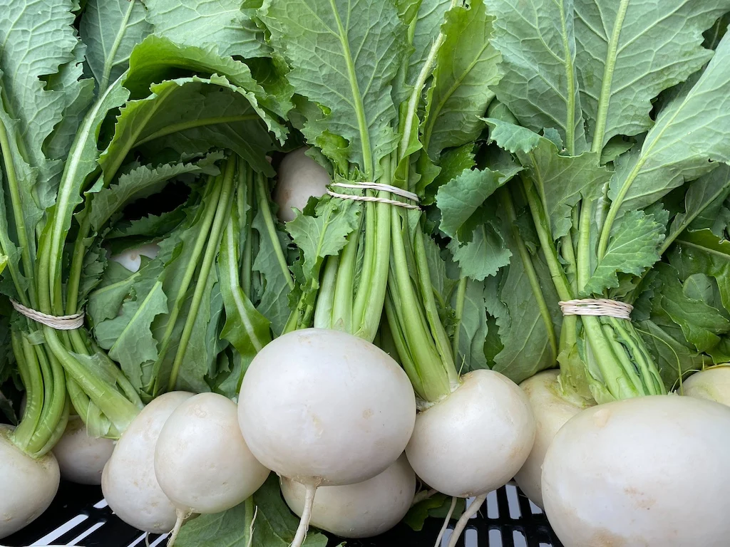 farmers market, Prescott Farmers Market, health, nutrition, Arizona, Prescott, Farmers Market Nutrition Program, fruits, vegetables