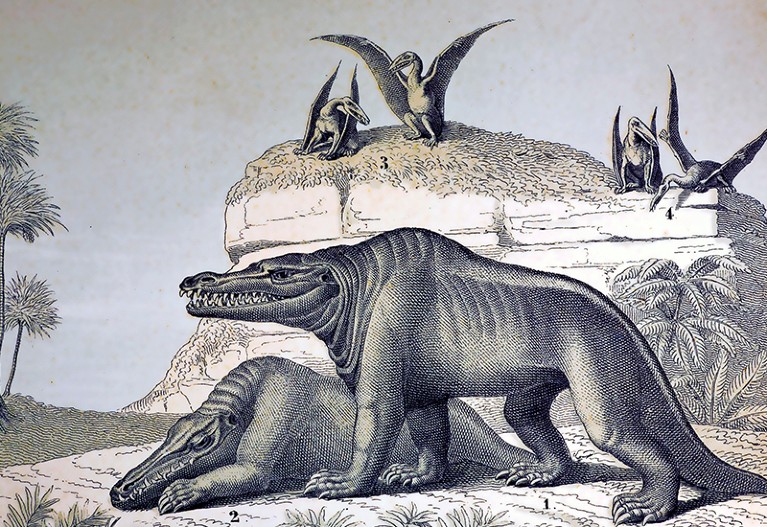 200 years of naming dinosaurs: scientists call for overhaul of antiquated system