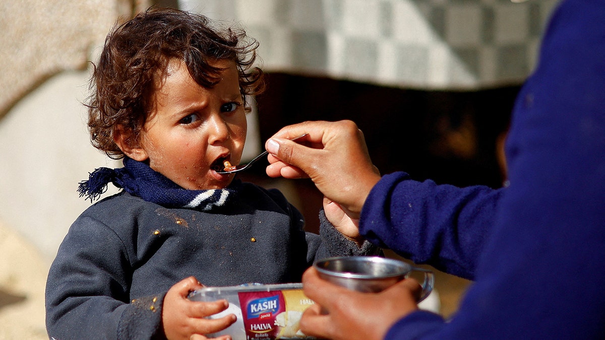 UN food agency temporarily halts deliveries to northern Gaza, says decision was not ‘taken lightly’