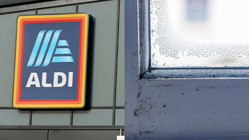 You can now buy the Aldi €25 gadget that banishes mould and condensation