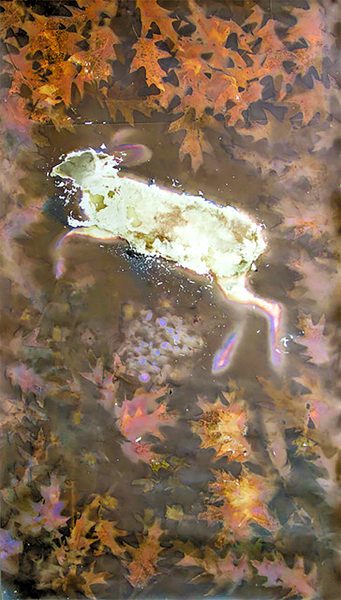 Downtown Art Exhibit features VTSU-Johnson MFA student, teacher & advisor