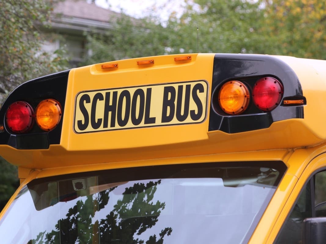 School Bus Rear-Ended In 5-Car Chain Crash In South Jersey: Police