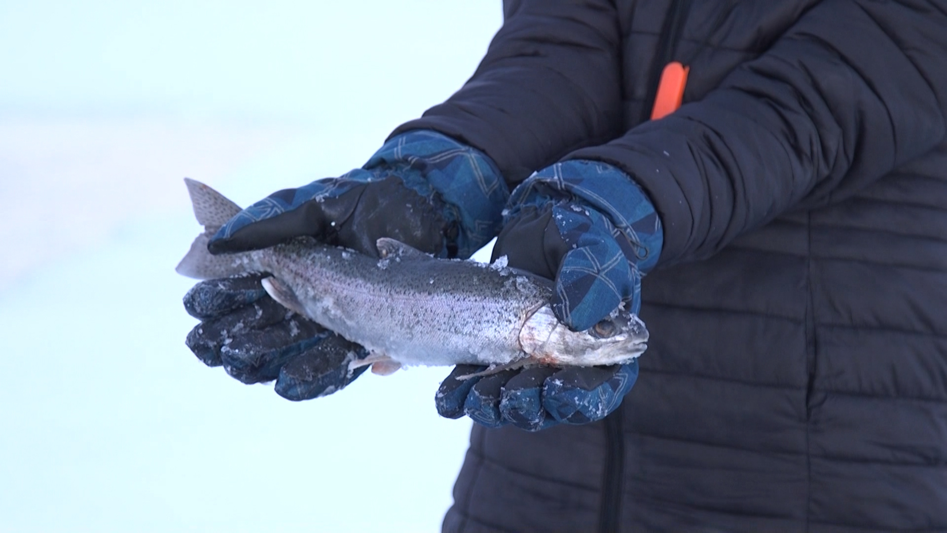 Teens in the Matanuska-Susitna Borough learn about food sovereignty through ice fishing