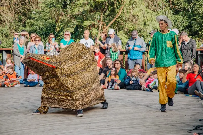 Boi de mamão, um dos símbolos da cultura de Florianópolis