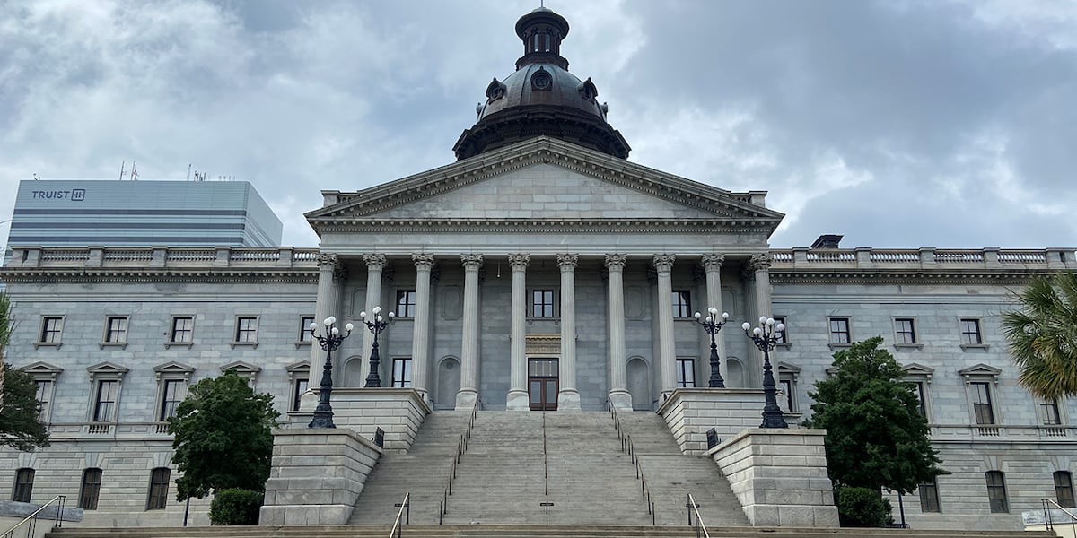 SC Senate approves bill to merge 6 state health agencies into 1