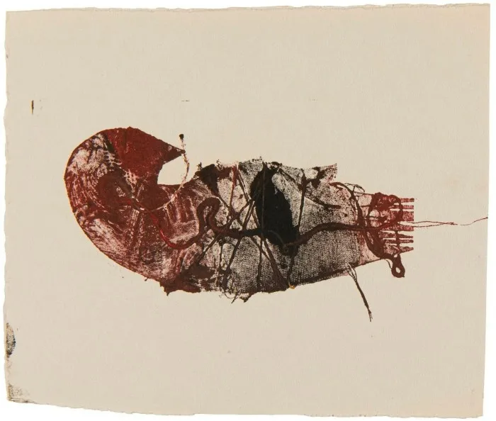 A printed artwork resembles an insect or a shellfish with a curved tail 