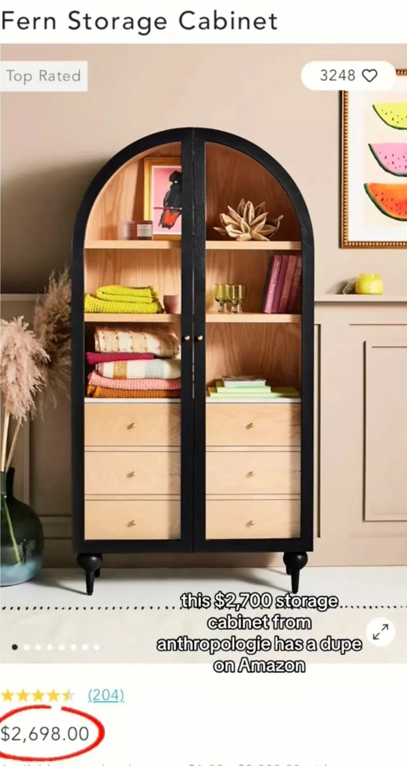 This Anthropologie cabinet had a whopping price ticket