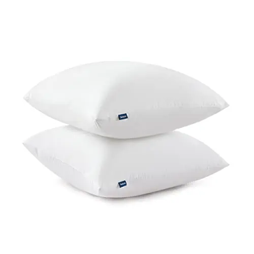 Bedsure Throw Pillow Inserts