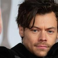 Brazilian Woman Convicted Of Stalking Harry Styles