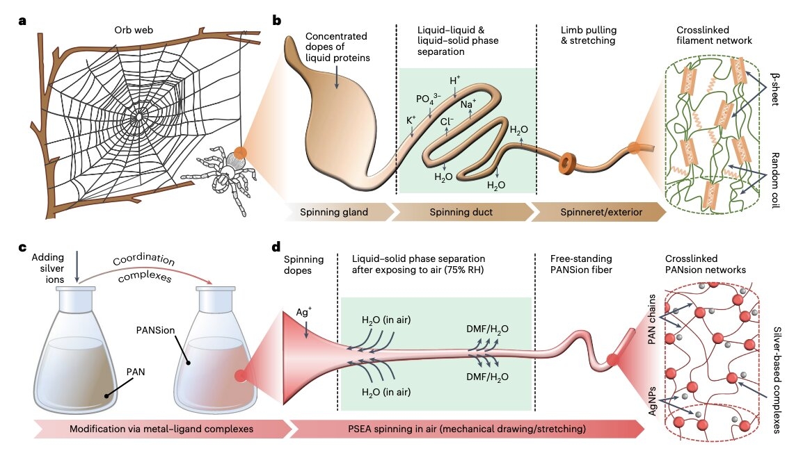 The Future of Wearable Technology: Optoelectronic Fibers Weaving Innovation into Everyday Life