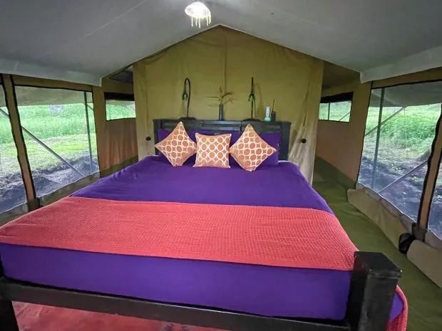 Camp Dulana tents, in Tanzania's Serengeti, have comfy beds to sleep in while being serenaded by wildebeest and lions. (Photo by Norma Meyer)