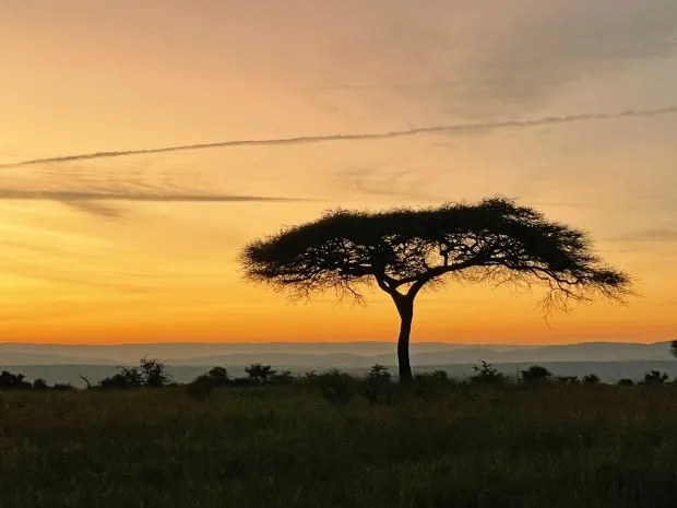 A glorious sunset in Tarangire National Park is the quintessential African ending to an ideal safari day. Plus, it was accompanied by a Champagne toast with fellow Wilderness Travel adventurers. (Photo by Norma Meyer)