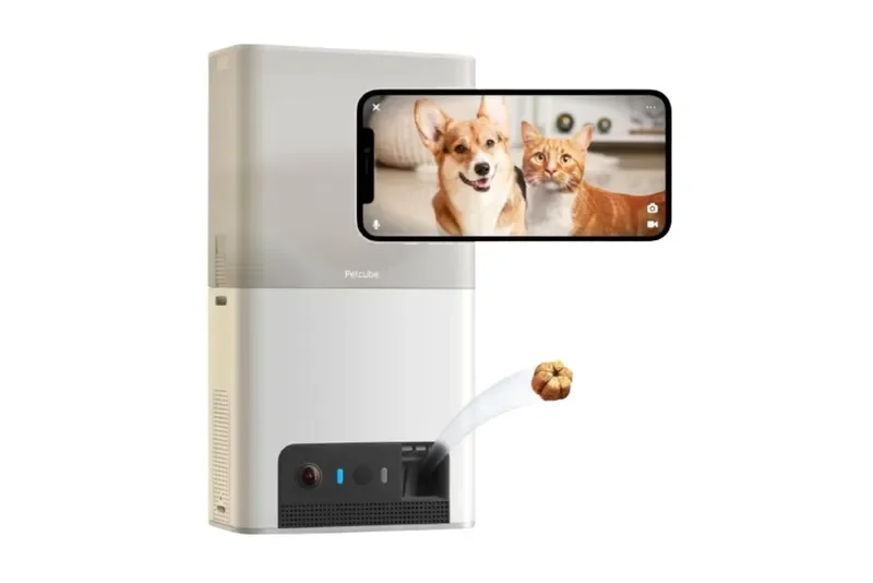 Petcube Bites 2 Lite