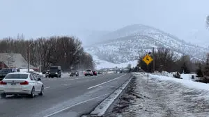 Wildlife crossing sign