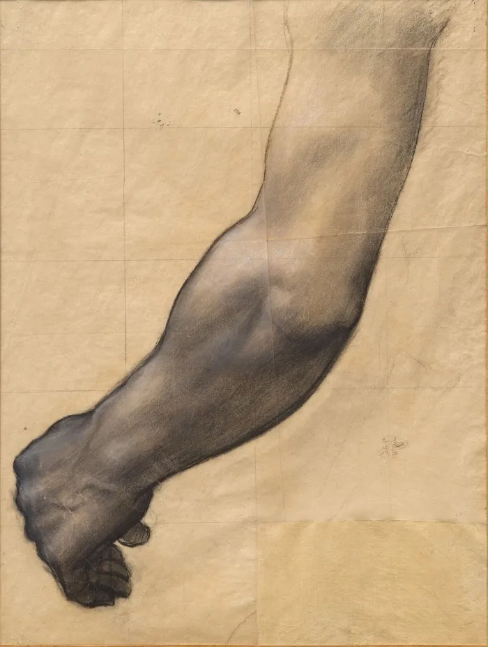 A charcoal and chalk sketch of an arm on a sepia background