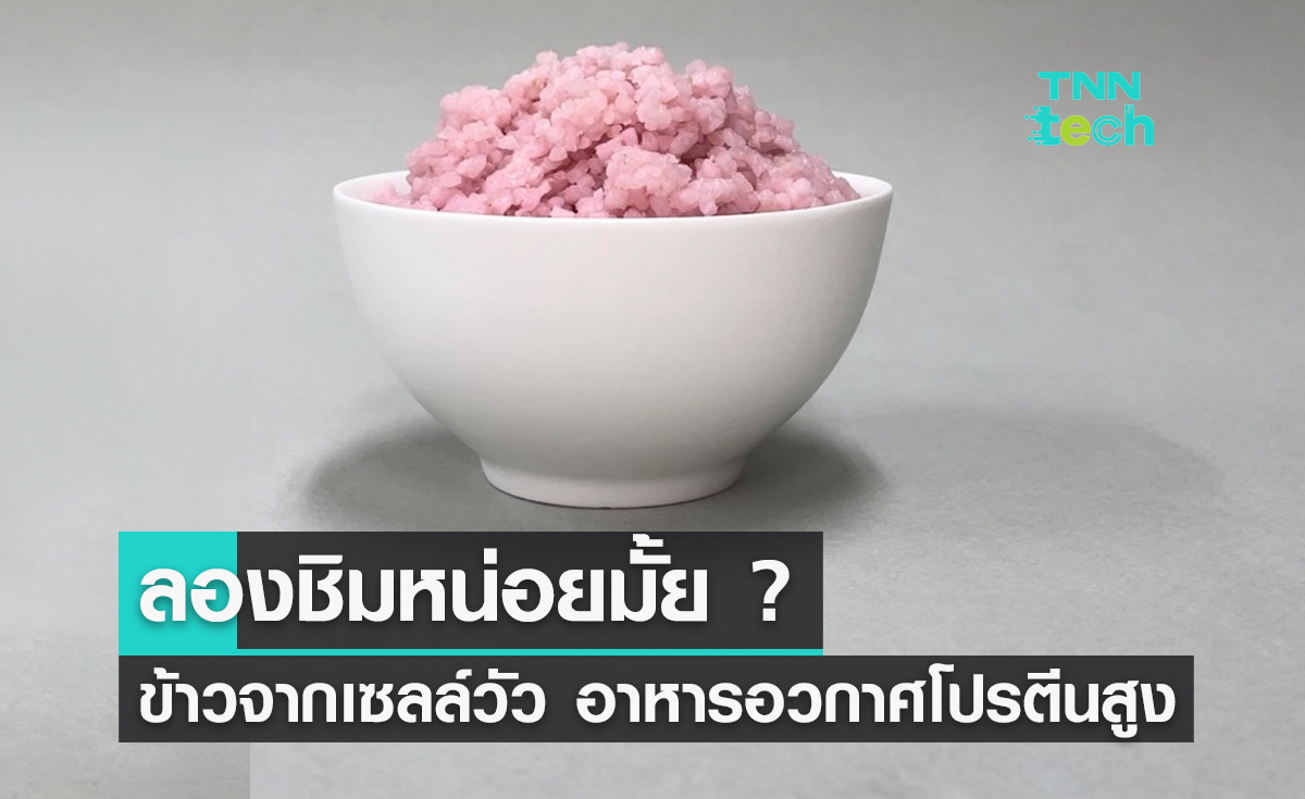 ลองชิมหน่อยมั้ย ? ข้าวจากเซลล์เนื้อวัว อาหารอวกาศโปรตีนสูง