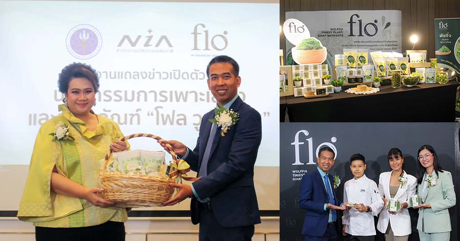 “โฟล วูล์ฟเฟีย” โชว์ความสำเร็จพัฒนา “ผำ” เปิดตัวนวัตกรรมสู่ superfood สุดยอดอาหารอนาคต