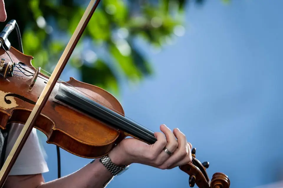 The Arts Grant Scheme will support access to the arts for people with disabilities, older people and local communities. Photo of Musician by Shane Broderick.