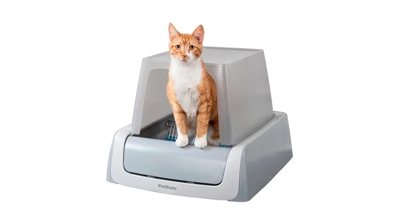 PetSafe Self-Cleaning Cat Litter Box with Hood cnnu.jpg