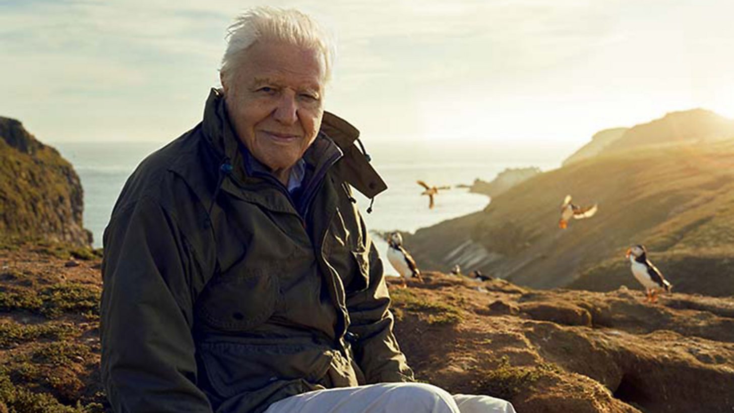 BBC factual content for SVT