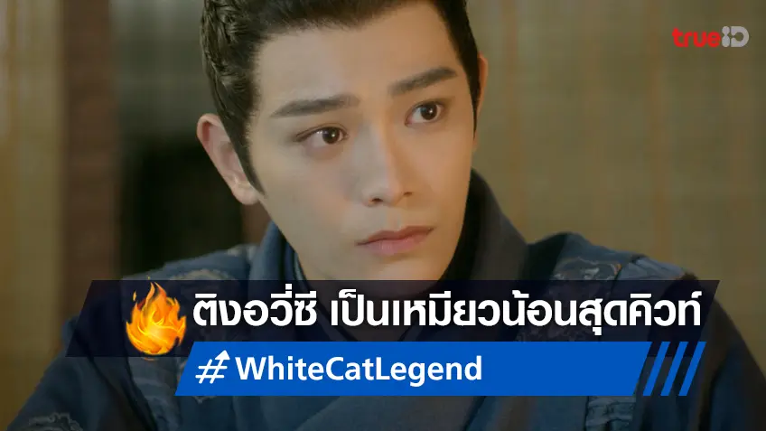 ติงอวี่ซี กลายร่างเป็นเหมียวน้อยในซีรีส์กำลังมาแรง “White Cat Legend ตำนานแมวขาวแห่งศาลต้าหลี่”