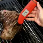 dads2019-thermapen-m-1