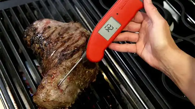 dads2019-thermapen-m-1