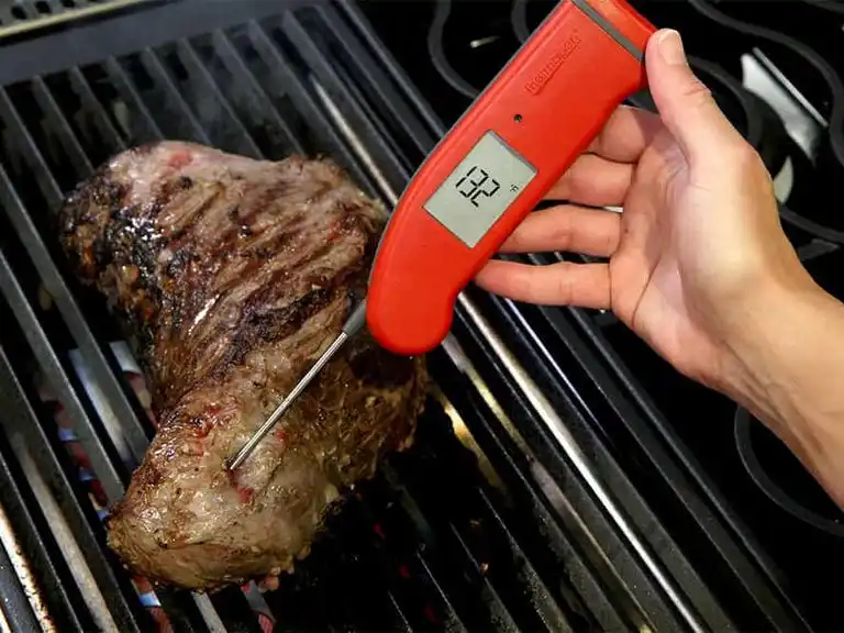 dads2019-thermapen-m-1