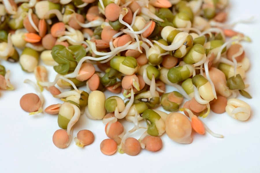 What Is Sprouting? How To Grow Healthy Food ‘For Pennies’