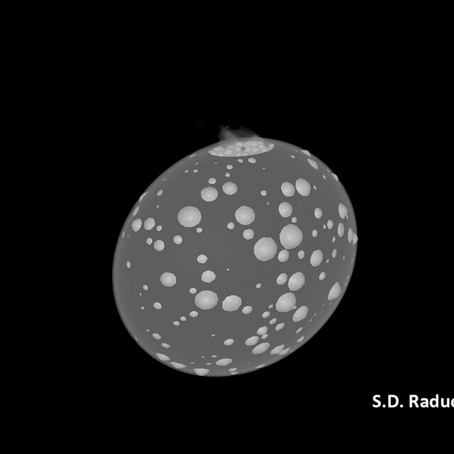 NASA’s Crash Into an Asteroid May Have Altered Its Shape