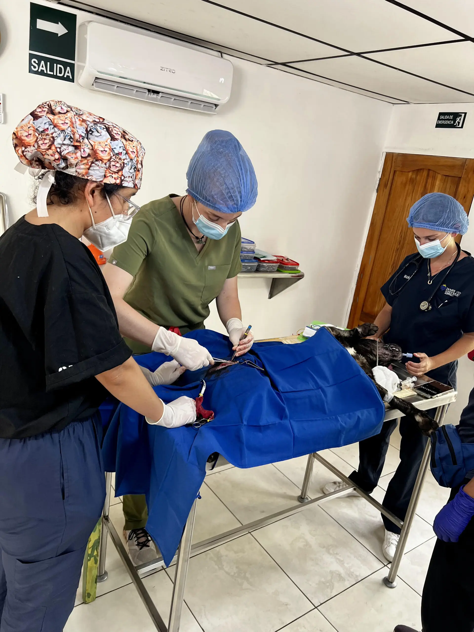 Galapagos WVS Clinic Photo credit Isabel Correia 3.jpg