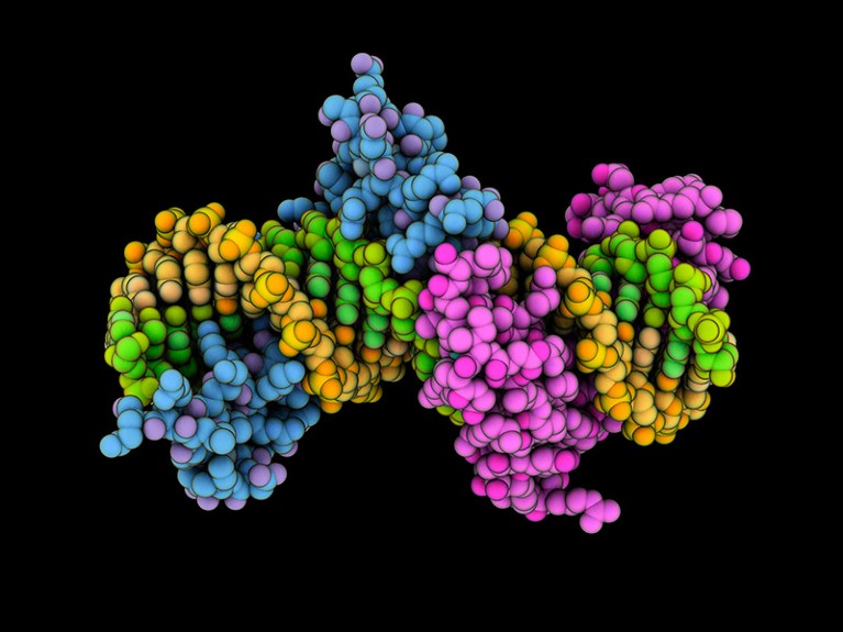 ‘Epigenetic’ editing cuts cholesterol in mice