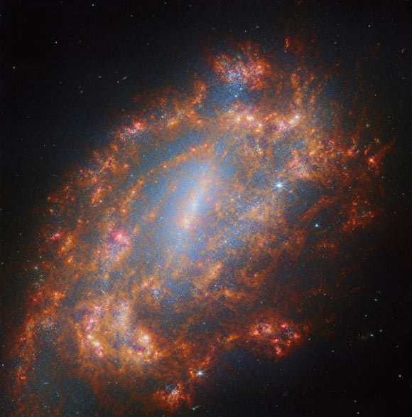 Webb Snaps Breathtaking New Image of NGC 1559