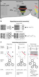 Automated discovery of algorithms from data