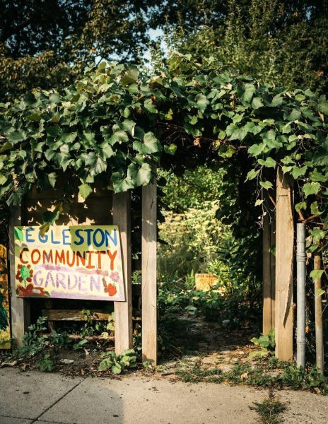 Boston Food Forest Coalition brings park spaces and fresh produce to urban neighborhoods