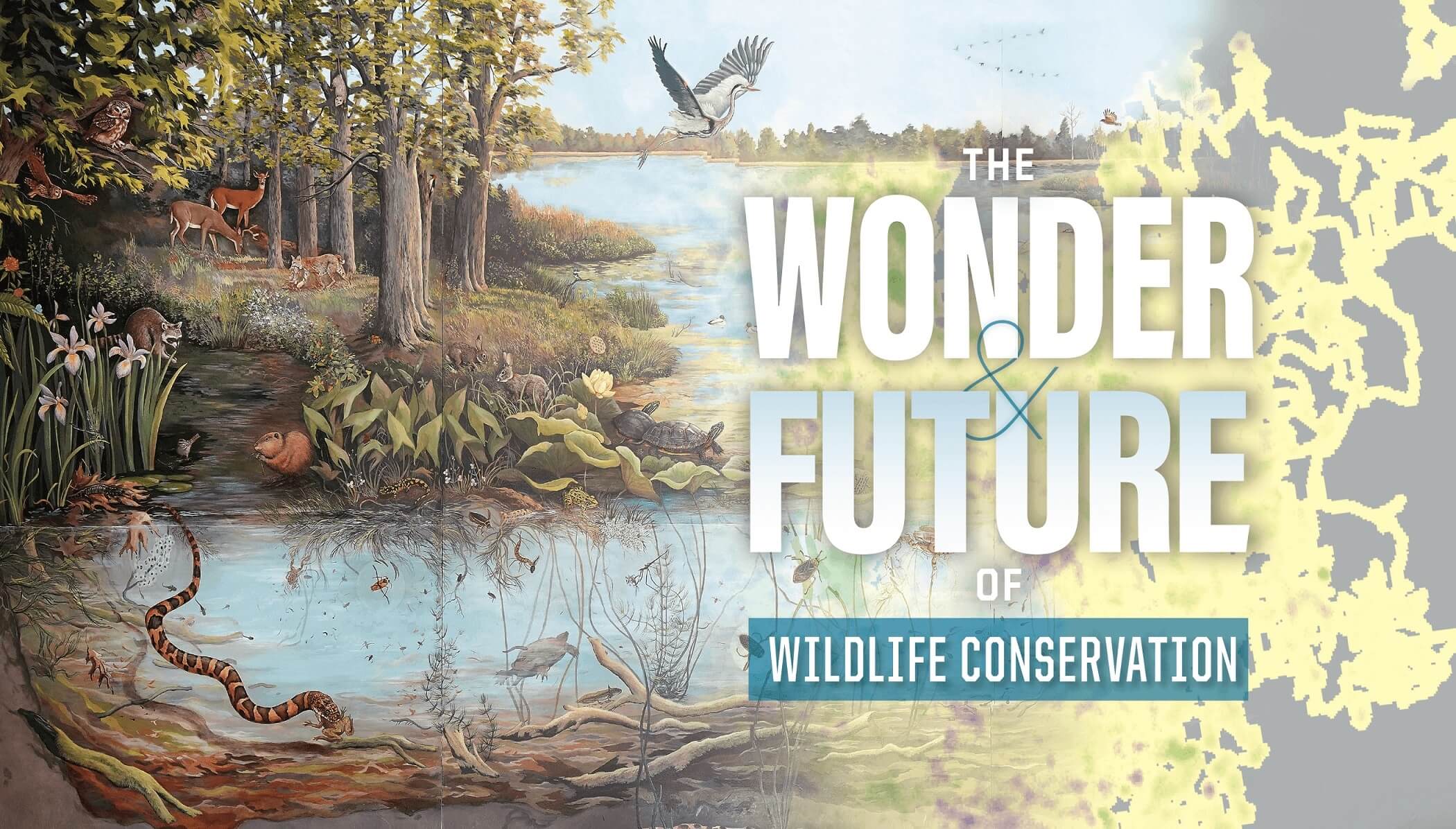 The Wonder and Future of Wildlife Conservation